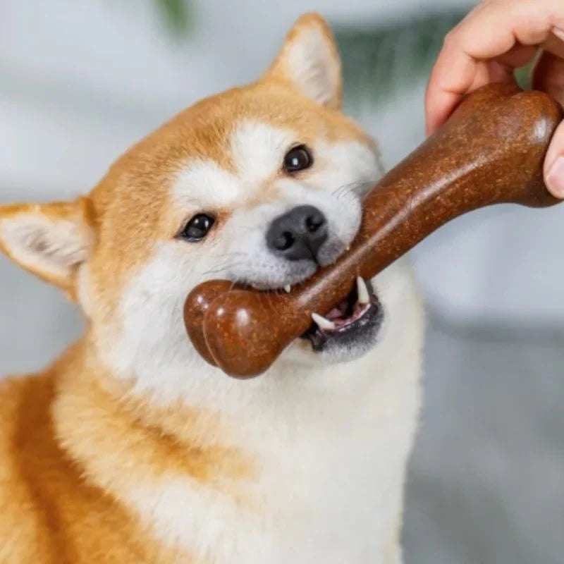 Natural Non-Toxic Indestructible Dog Bone Chew Toy Anti-Bite Puppy Teething Chew Toy for Small Medium Large Dogs Pet Chewbone