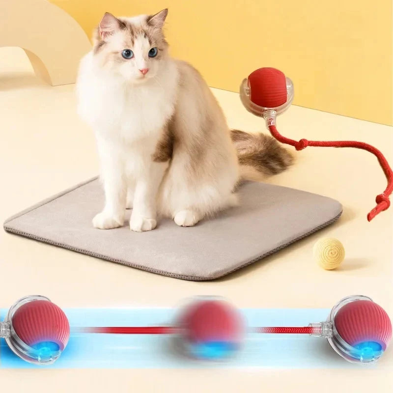 Smart Cat Toys Automatic Rolling Ball Fake Tail Rechargeable Electric Pet Interactive Toy Dog Cat Training Imitate Mouse Tail